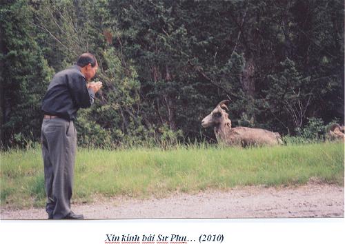 nam_mui_noi_chuyen_de