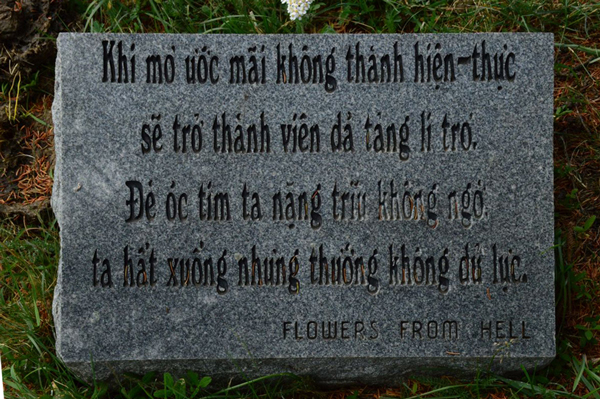 tren-dinh-troi-hiu-quanh