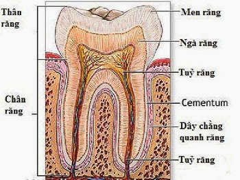 ai-tao-rang-bang-laser
