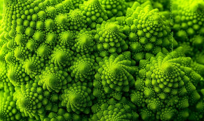 ti-le-vang-o-thuc-va