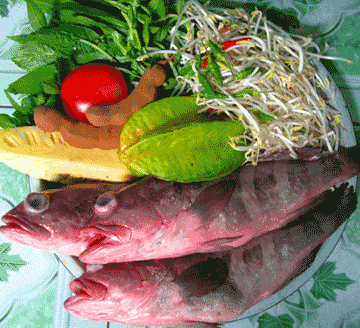DS_250712_CANH-3.gif