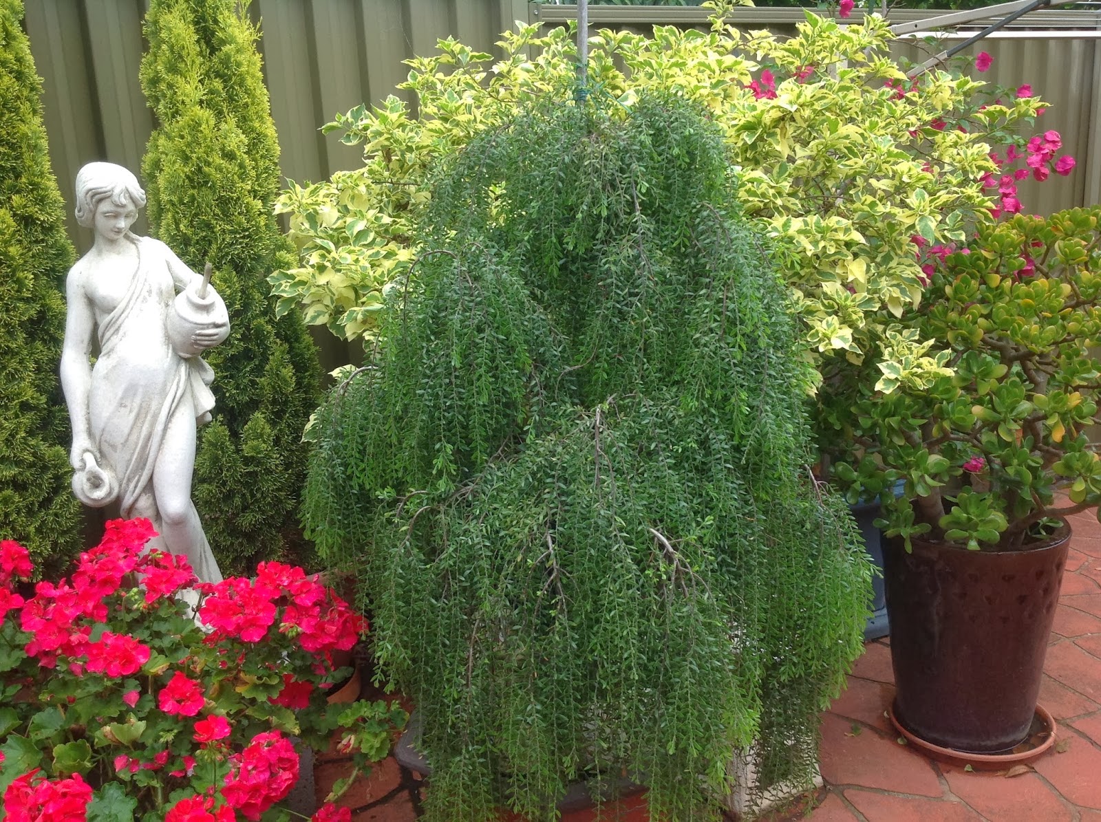 Ba-Noi_tuong_cua_toi