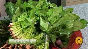 Ba-Noi_tuong_cua_toi