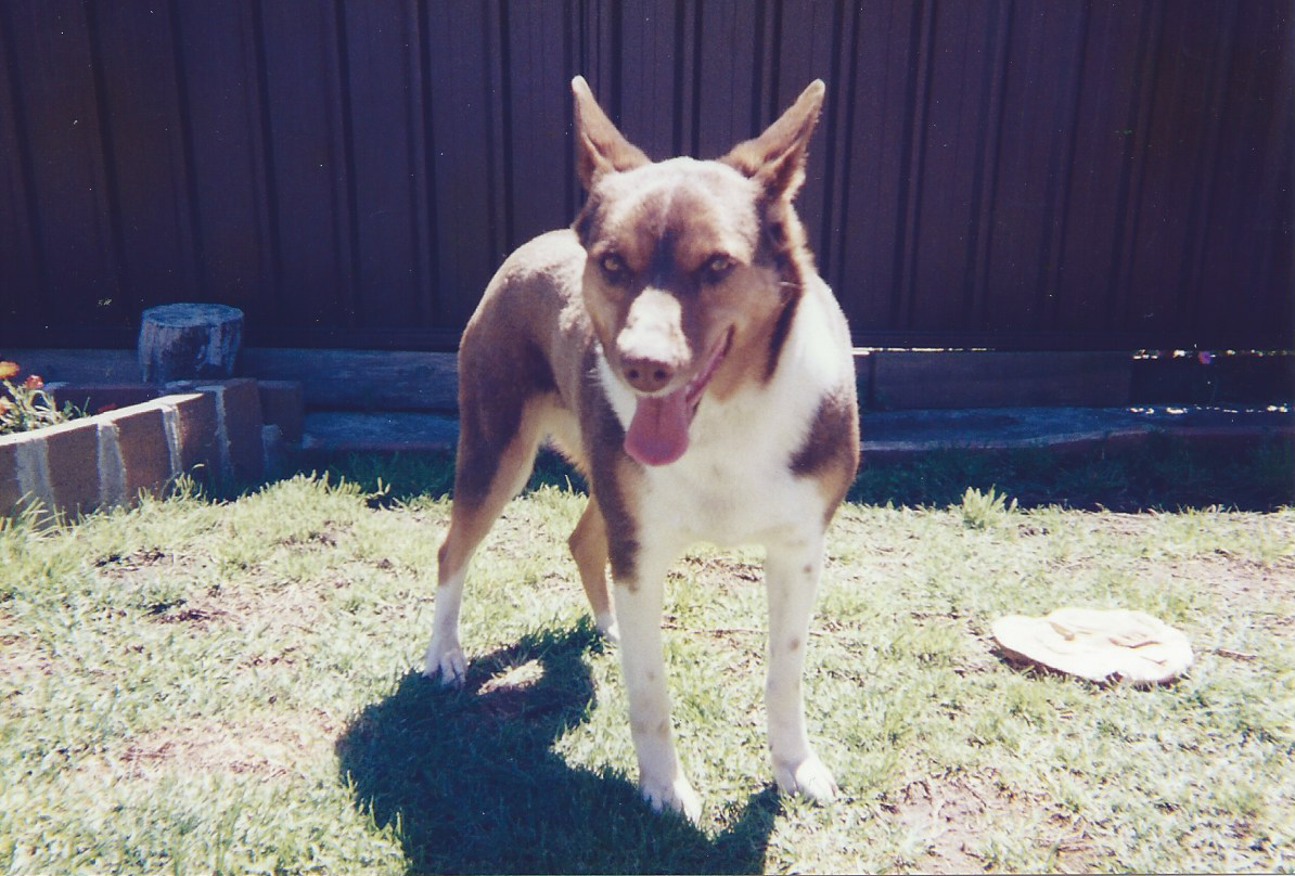 Ba-Noi_tuong_cua_toi