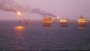 TC_danh-chim_tau_dau_VC