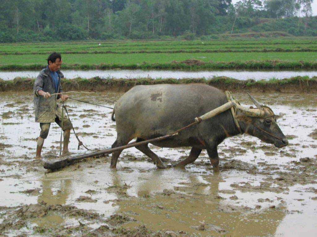 Chuyen doi thuong