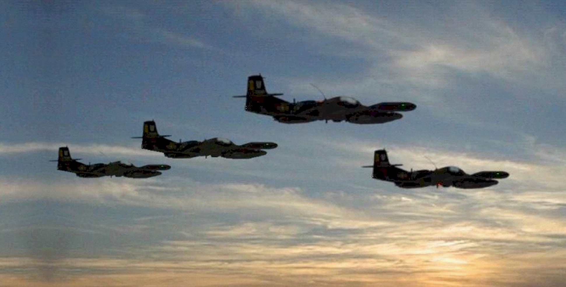 Phi vi tra dua Phan Rang